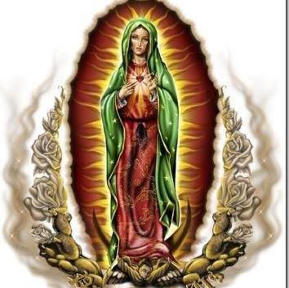 Meet your Posher, Jorge